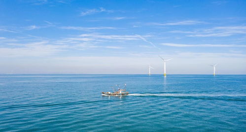 中國海上風電再次領先 40層樓高風力發電機，一臺轉動創造4億元陸路國際貨運業務